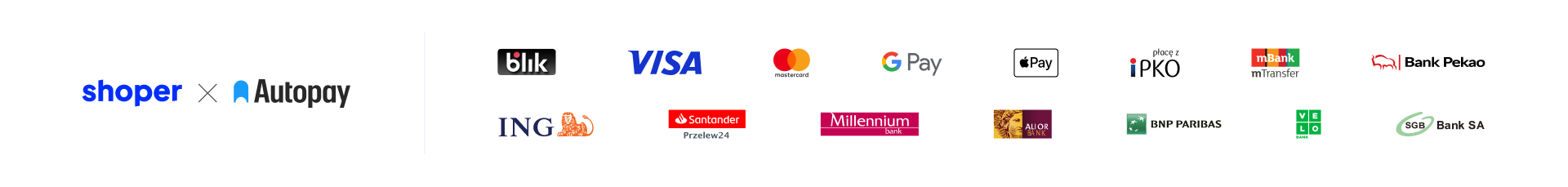 Autopay Blik Visa Mastercard